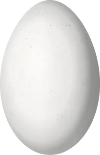 White-throated Swift egg, 21.24 × 13.74 mm