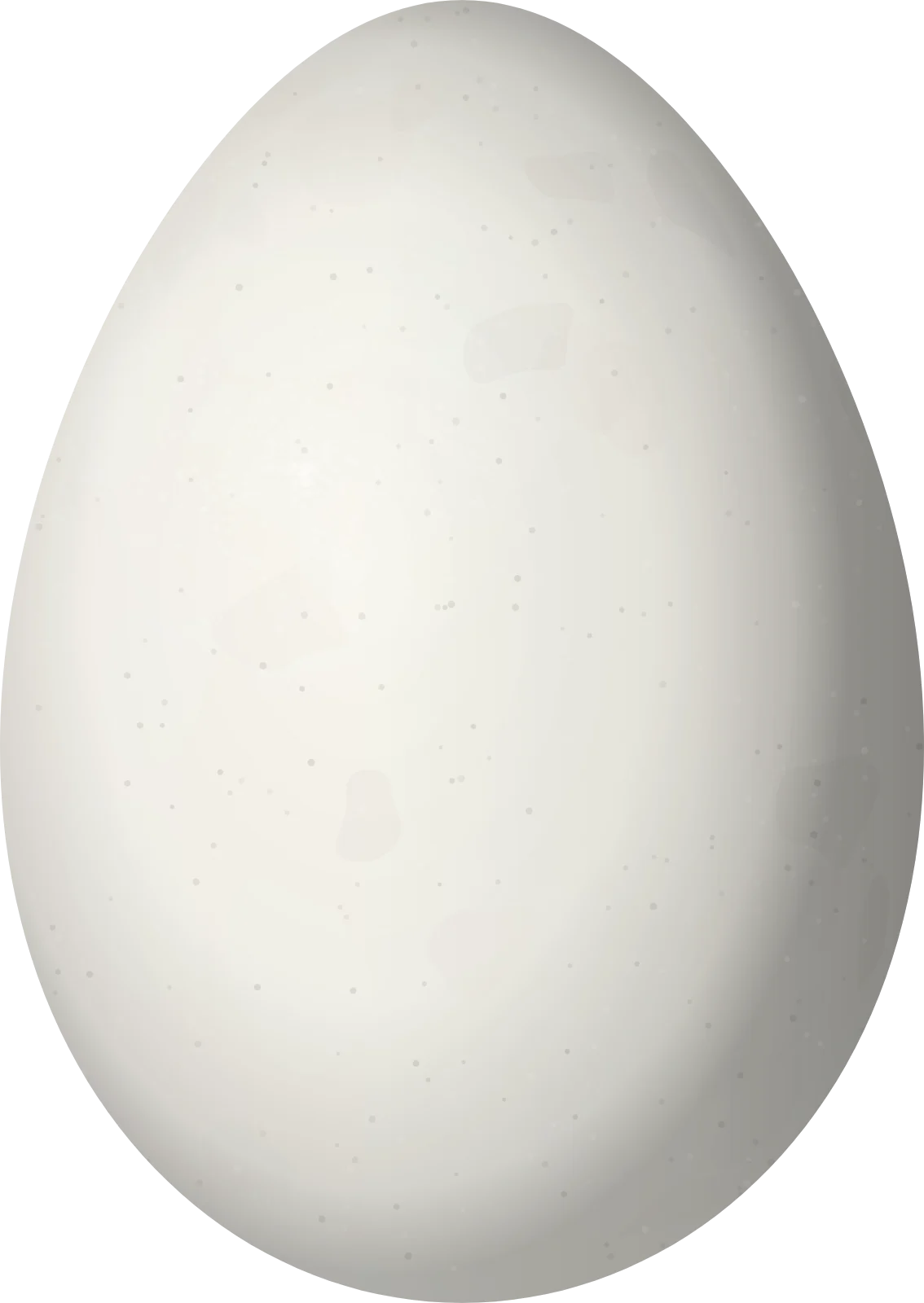 Illustration of a White-throated Woodcreeper (Xiphocolaptes albicollis) egg, 35 × 24.8 mm