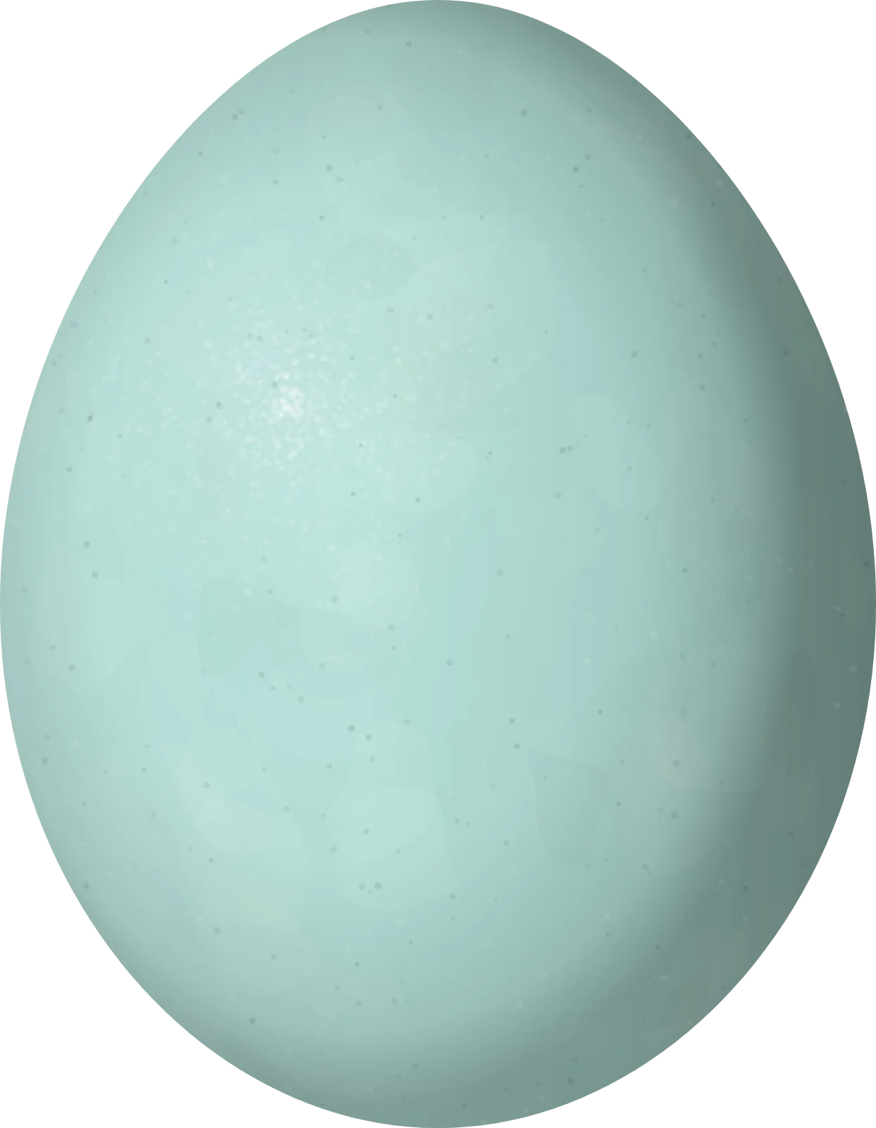 Illustration of a White-tipped Quetzal (Pharomachrus fulgidus) egg, 36.1 × 28.05 mm