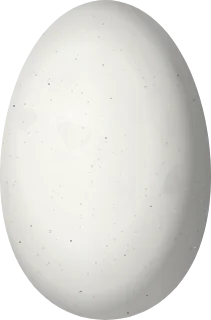 Illustration of a White-vented Plumeleteer (Chalybura buffonii) egg, 13.5 × 8.9 mm