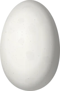 Illustration of a White-vented Violetear (Colibri serrirostris) egg, 13.9 × 9.2 mm