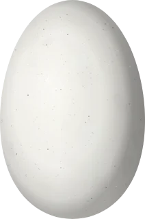 Illustration of a White-whiskered Hermit (Phaethornis yaruqui) egg, 14.2 × 9.4 mm