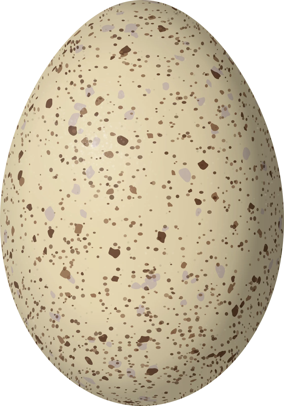 Illustration of a White-winged Coot (Fulica leucoptera) egg, 48.79 × 34.12 mm