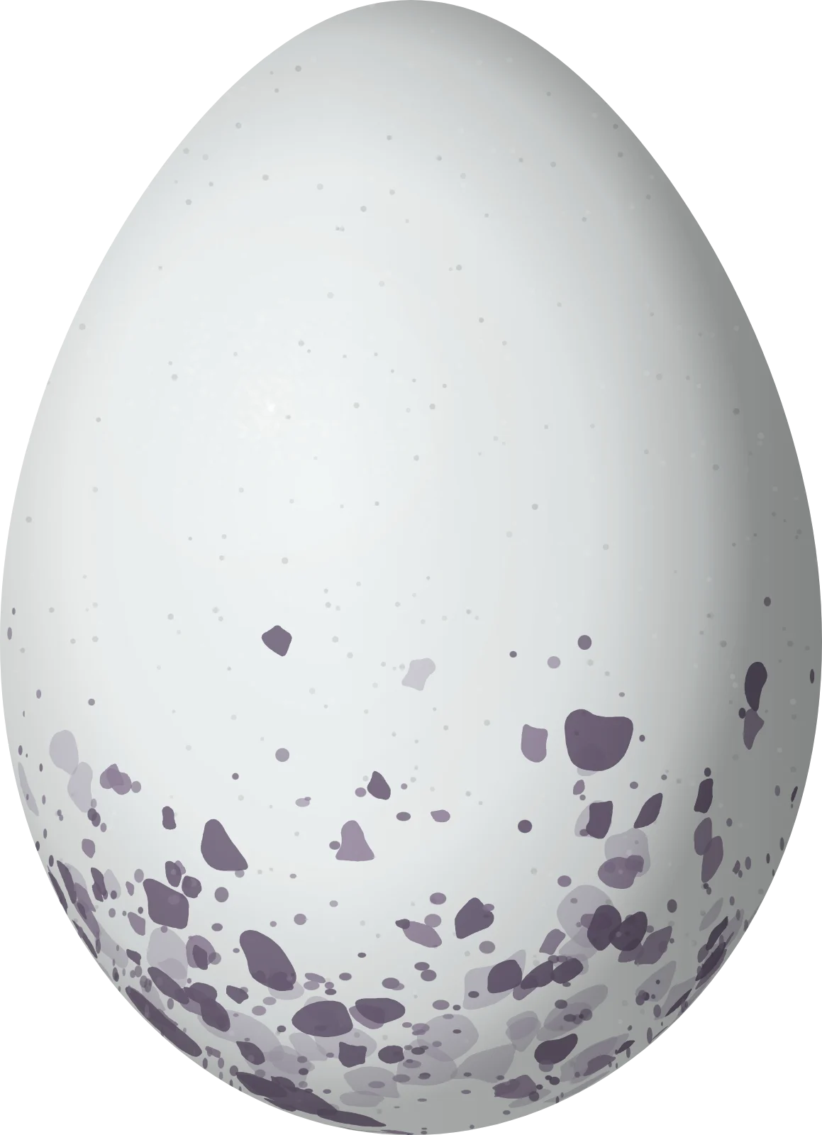 Illustration of a White-winged Cotinga (Xipholena atropurpurea) egg, 29 × 21 mm