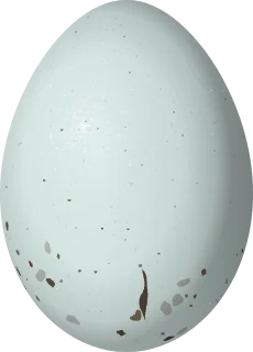 Illustration of a White-winged Crossbill (Loxia leucoptera) egg, 20.9 × 15 mm