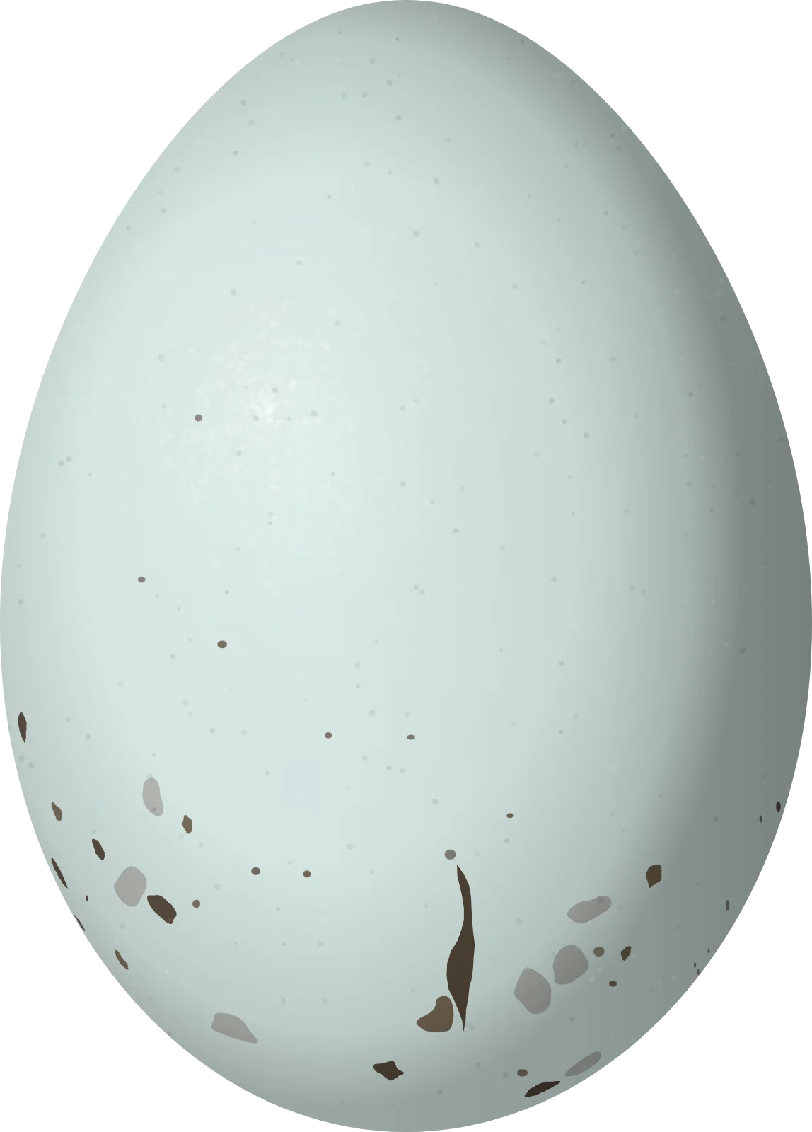 Illustration of a White-winged Crossbill (Loxia leucoptera) egg, 20.9 × 15 mm