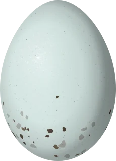 White-winged Crossbill egg, 20.9 × 15 mm