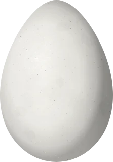 Illustration of a White-winged Guan (Penelope albipennis) egg, 70.5 × 49.2 mm