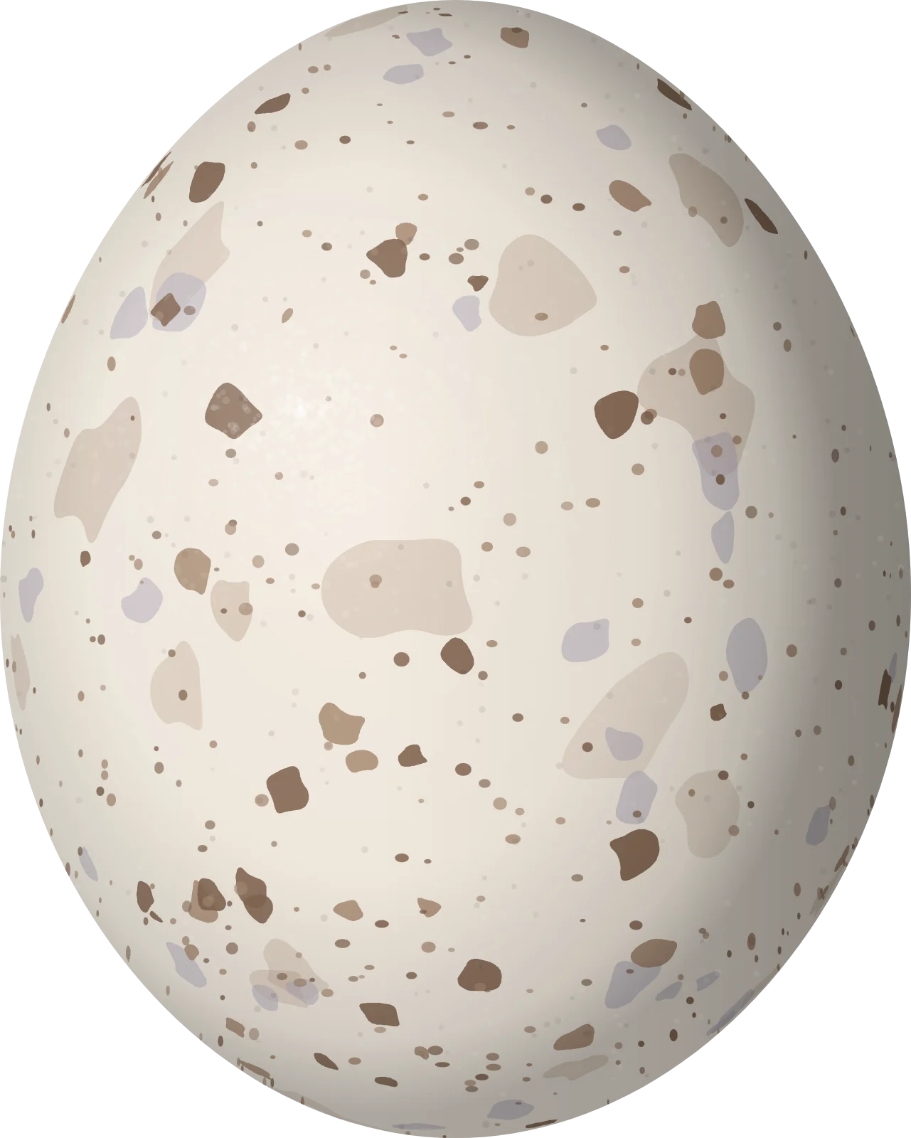 Illustration of a White-winged Nightjar (Eleothreptus candicans) egg, 26.6 × 21.3 mm