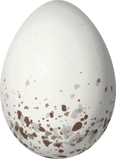 Illustration of a White-winged Shrike-Tanager (Lanio versicolor) egg, 20.5 × 15 mm