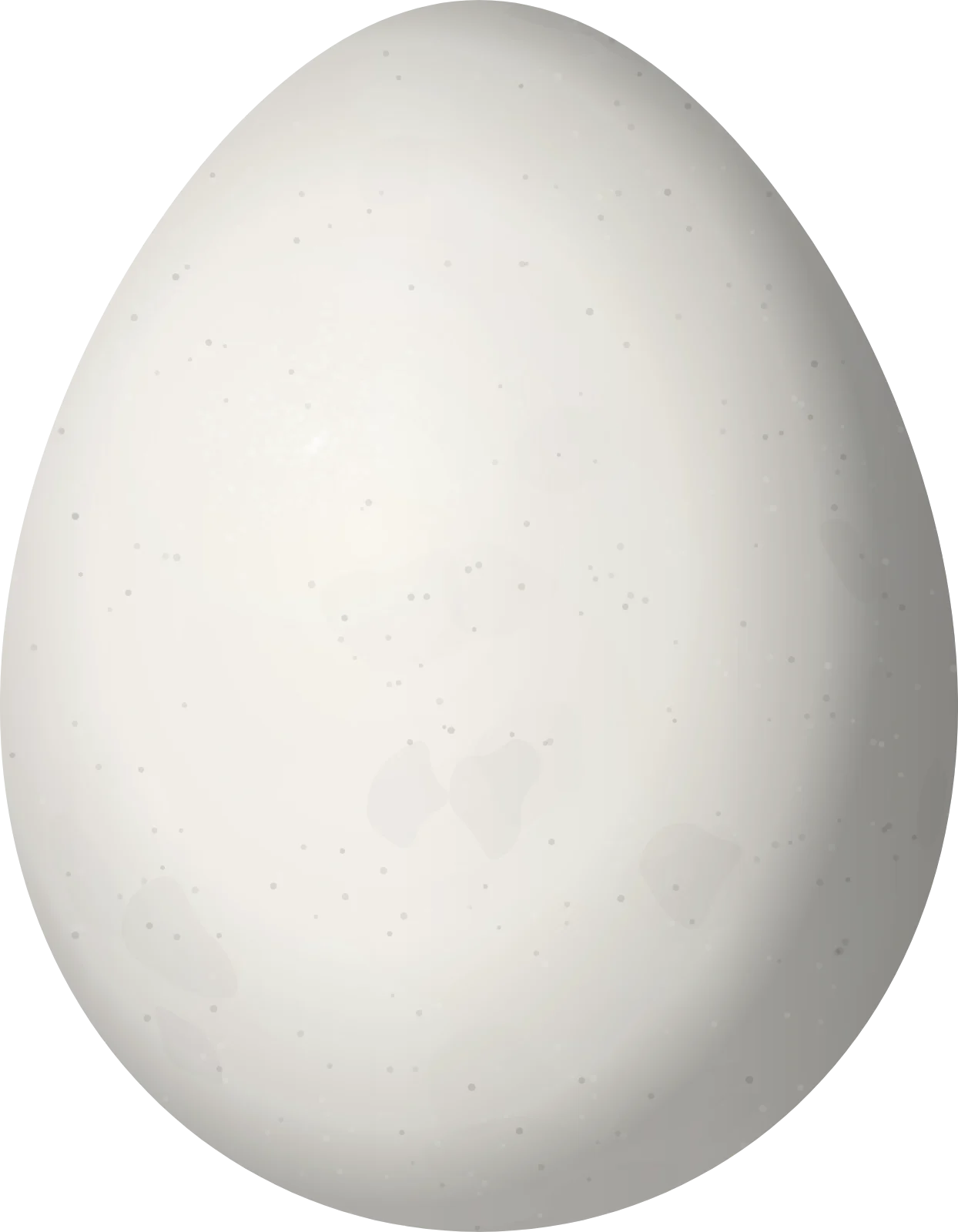 Illustration of a White-winged Tapaculo (Scytalopus krabbei) egg, 22.9 × 17.8 mm