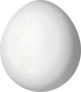 Illustration of a Whooping Motmot (Momotus subrufescens) egg, 30.2 × 26.6 mm