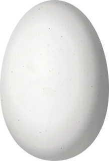 Illustration of a Wine-throated Hummingbird (Selasphorus ellioti) egg, 12.4 × 8.4 mm