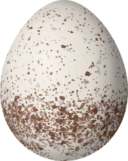 Illustration of a Wing-banded Wren (Microcerculus bambla) egg, 22.6 × 18 mm