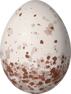 Illustration of a Winter Wren (Troglodytes hiemalis) egg, 16.7 × 12.5 mm