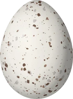 Illustration of a Woodpecker Finch (Camarhynchus pallidus) egg, 19 × 14 mm