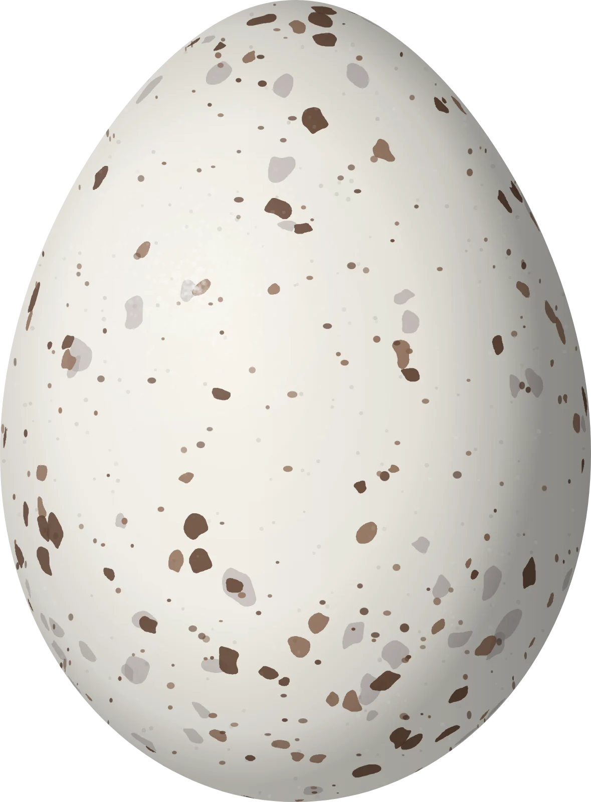 Illustration of a Woodpecker Finch (Camarhynchus pallidus) egg, 19 × 14 mm