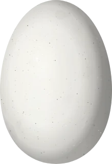 Illustration of a Xantus's Hummingbird (Basilinna xantusii) egg, 12.3 × 8.4 mm