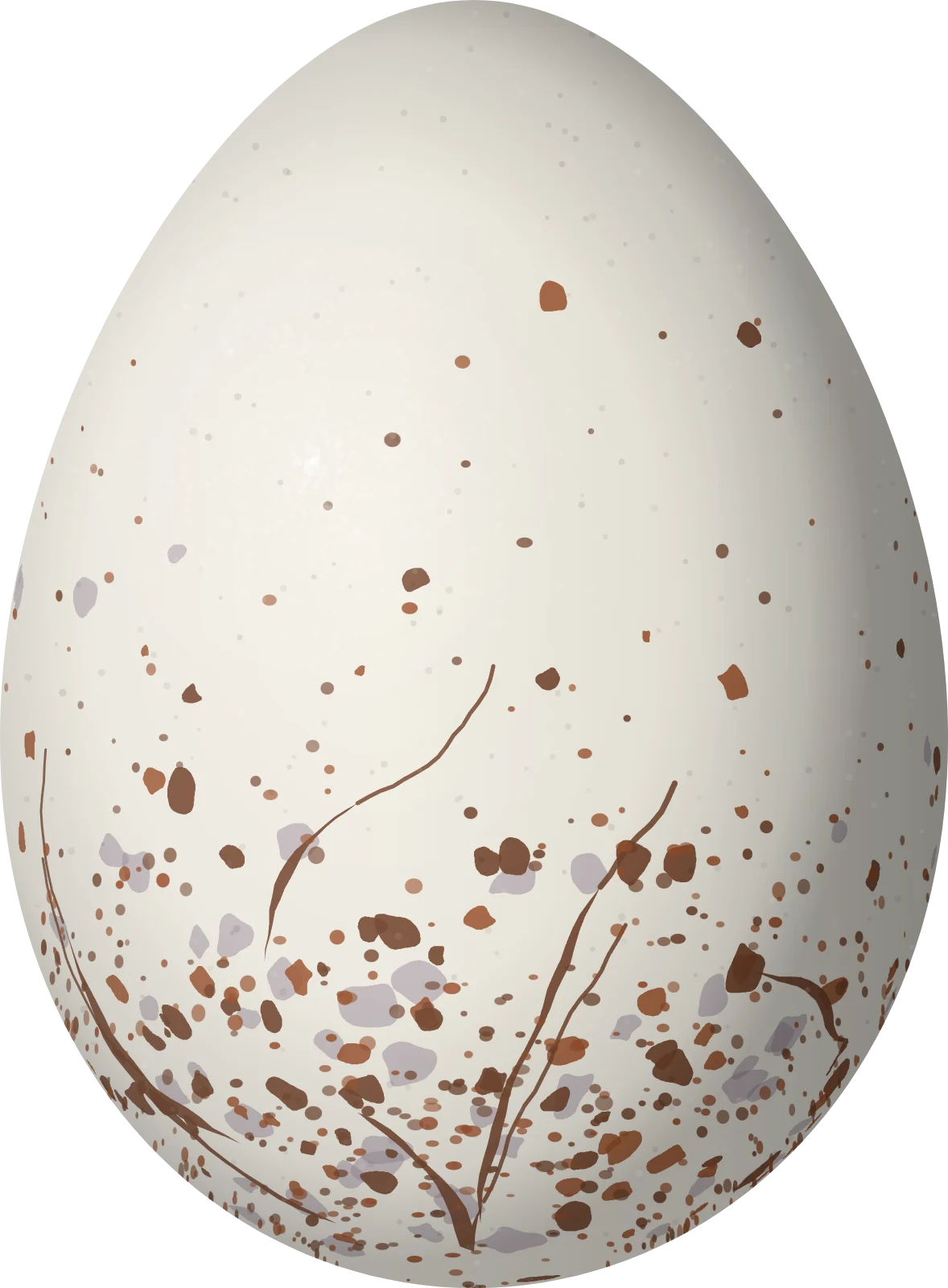 Illustration of a Yapacana Antbird (Aprositornis disjuncta) egg, 22 × 16.2 mm