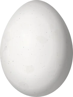 Illustration of a Yellow-bellied Sapsucker (Sphyrapicus varius) egg, 22.44 × 16.92 mm