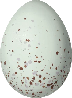 Illustration of a Yellow-bellied Siskin (Spinus xanthogastrus) egg, 17.3 × 12.7 mm