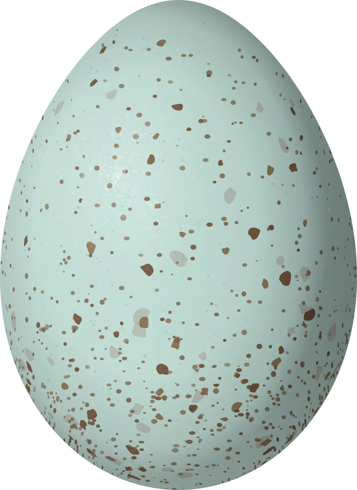 Illustration of a Yellow-billed Magpie (Pica nuttalli) egg, 30.8 × 22.4 mm