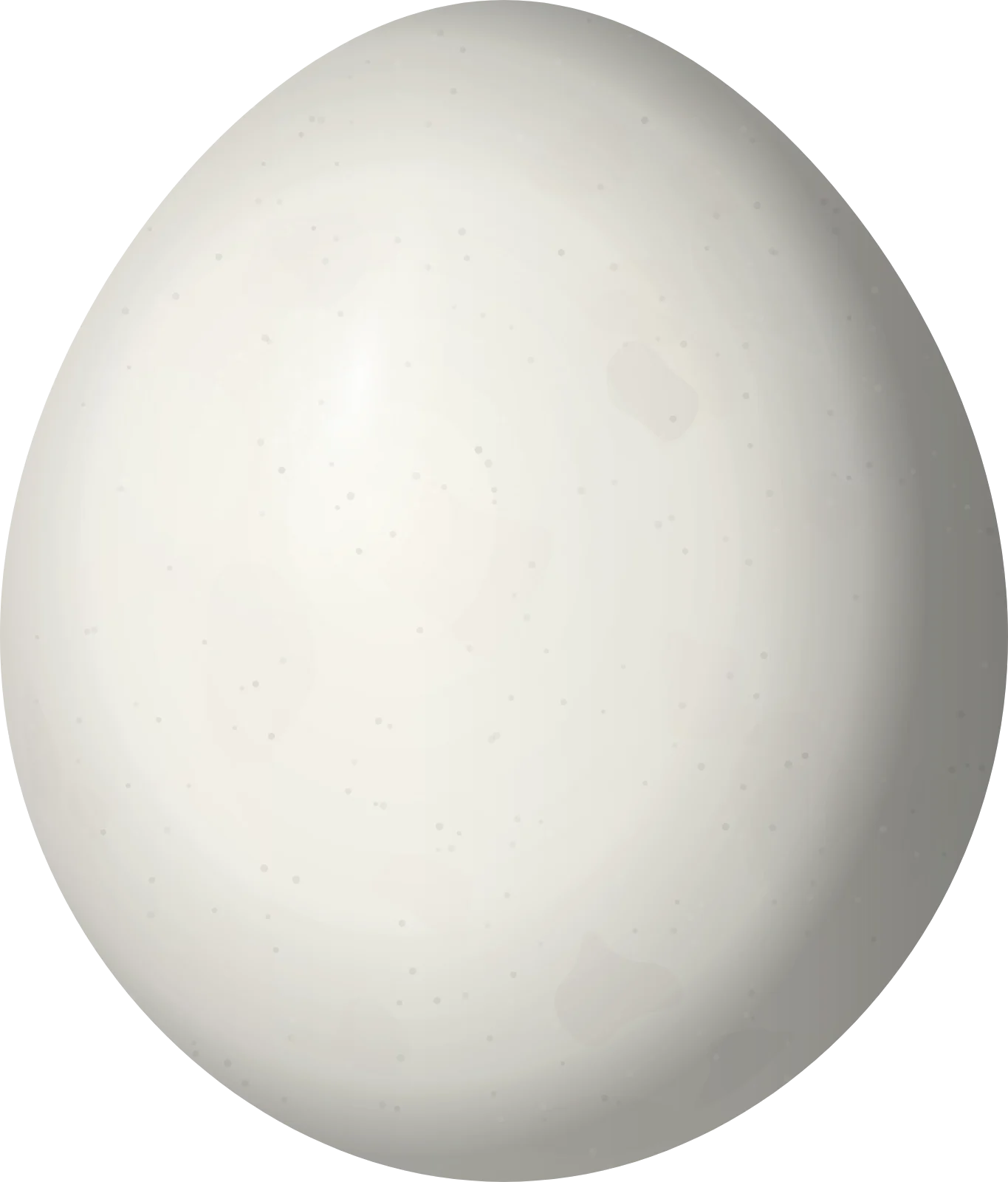 Illustration of a Yellow-billed Nunbird (Monasa flavirostris) egg, 27.2 × 23.2 mm