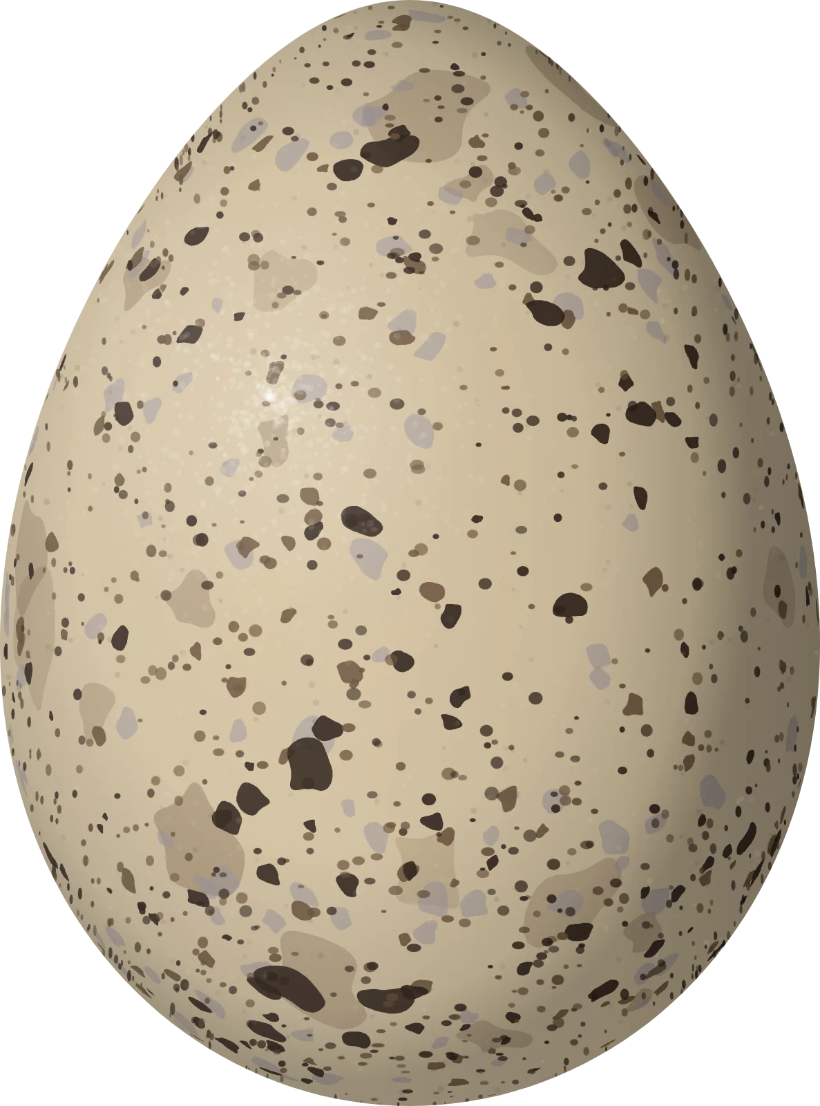 Illustration of a Yellow-billed Tern (Sternula superciliaris) egg, 31.98 × 23.72 mm