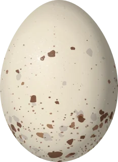 Illustration of a Yellow-breasted Crake (Laterallus flaviventer) egg, 24.86 × 18.12 mm