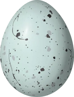 Illustration of a Yellow Cardinal (Gubernatrix cristata) egg, 23.9 × 18.1 mm