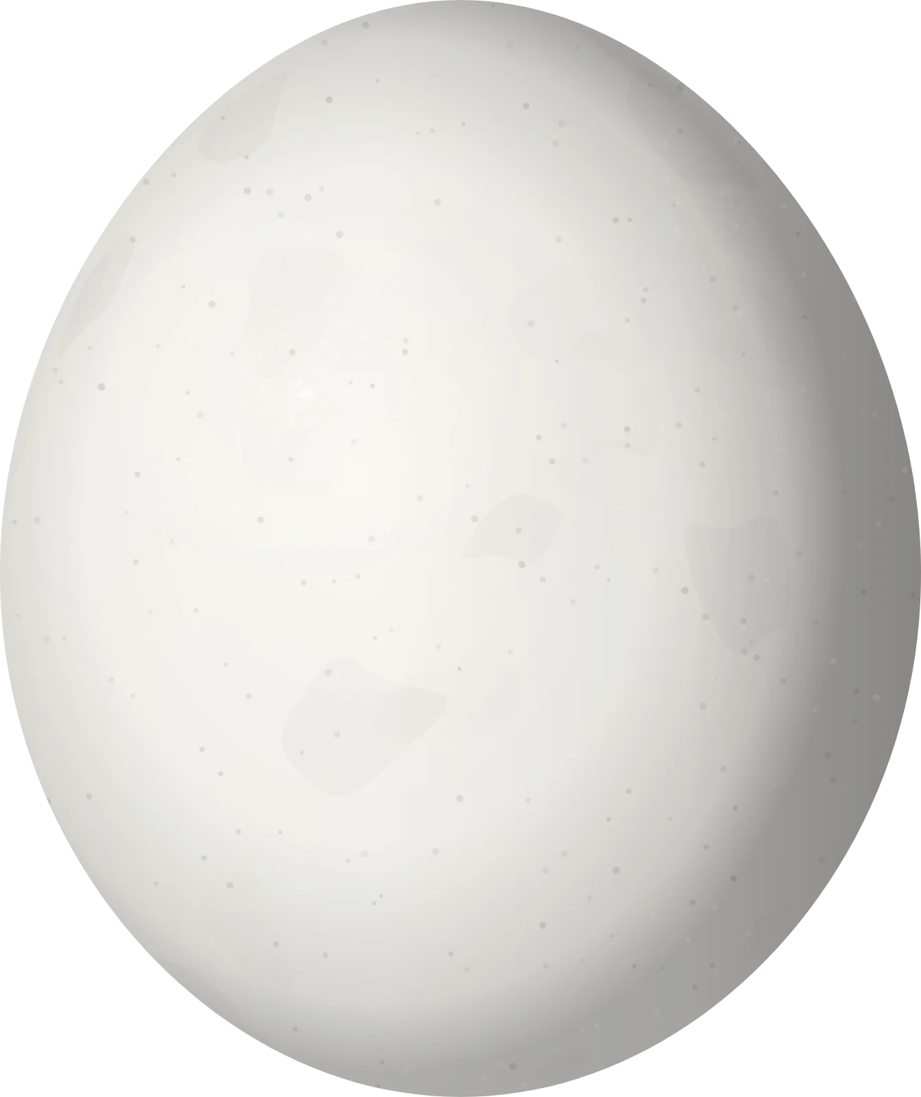 Illustration of a Yellow-chevroned Parakeet (Brotogeris chiriri) egg, 22.4 × 18.8 mm