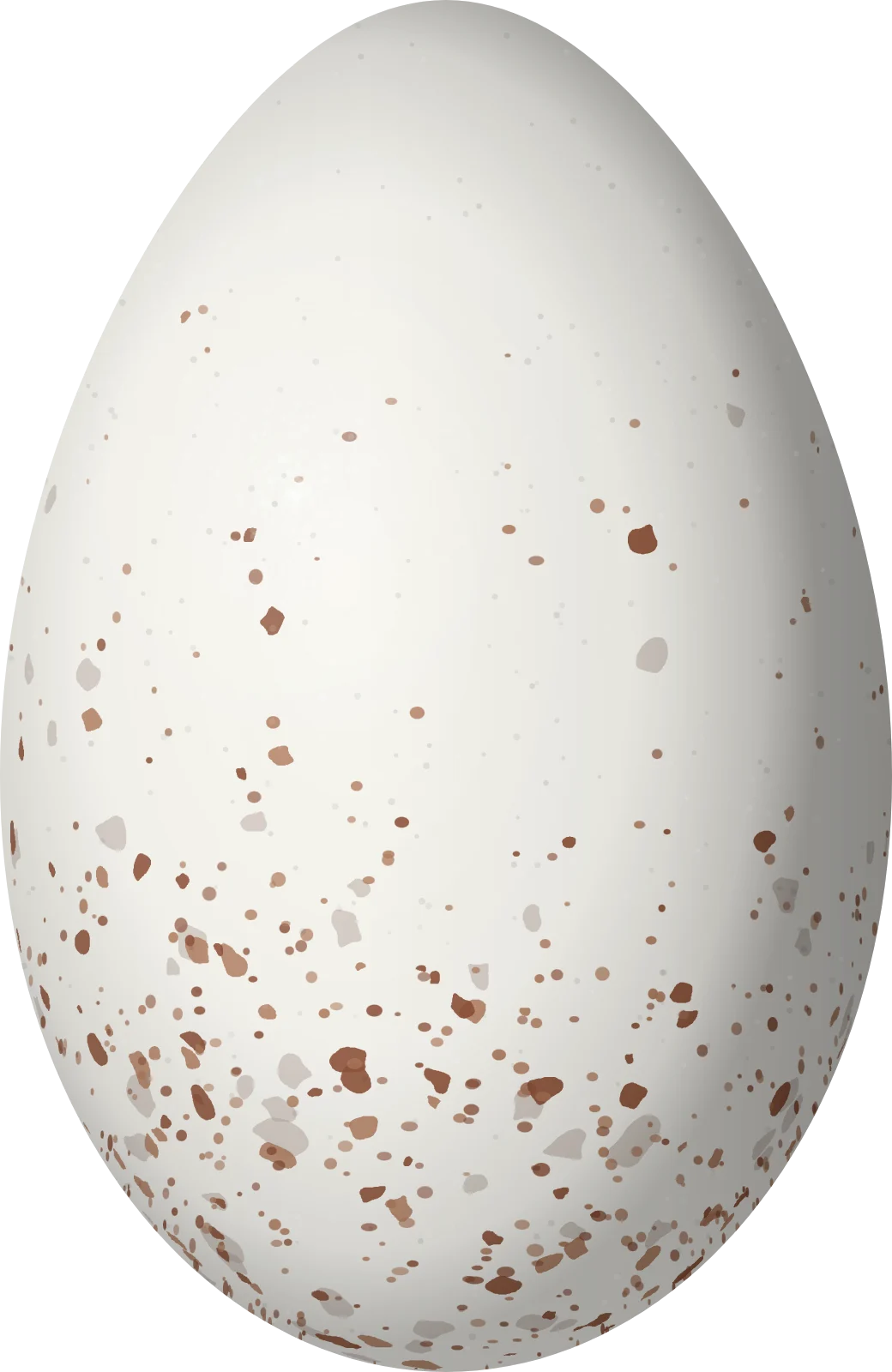 Illustration of a Yellow-crowned Whitestart (Myioborus flavivertex) egg, 20 × 13 mm