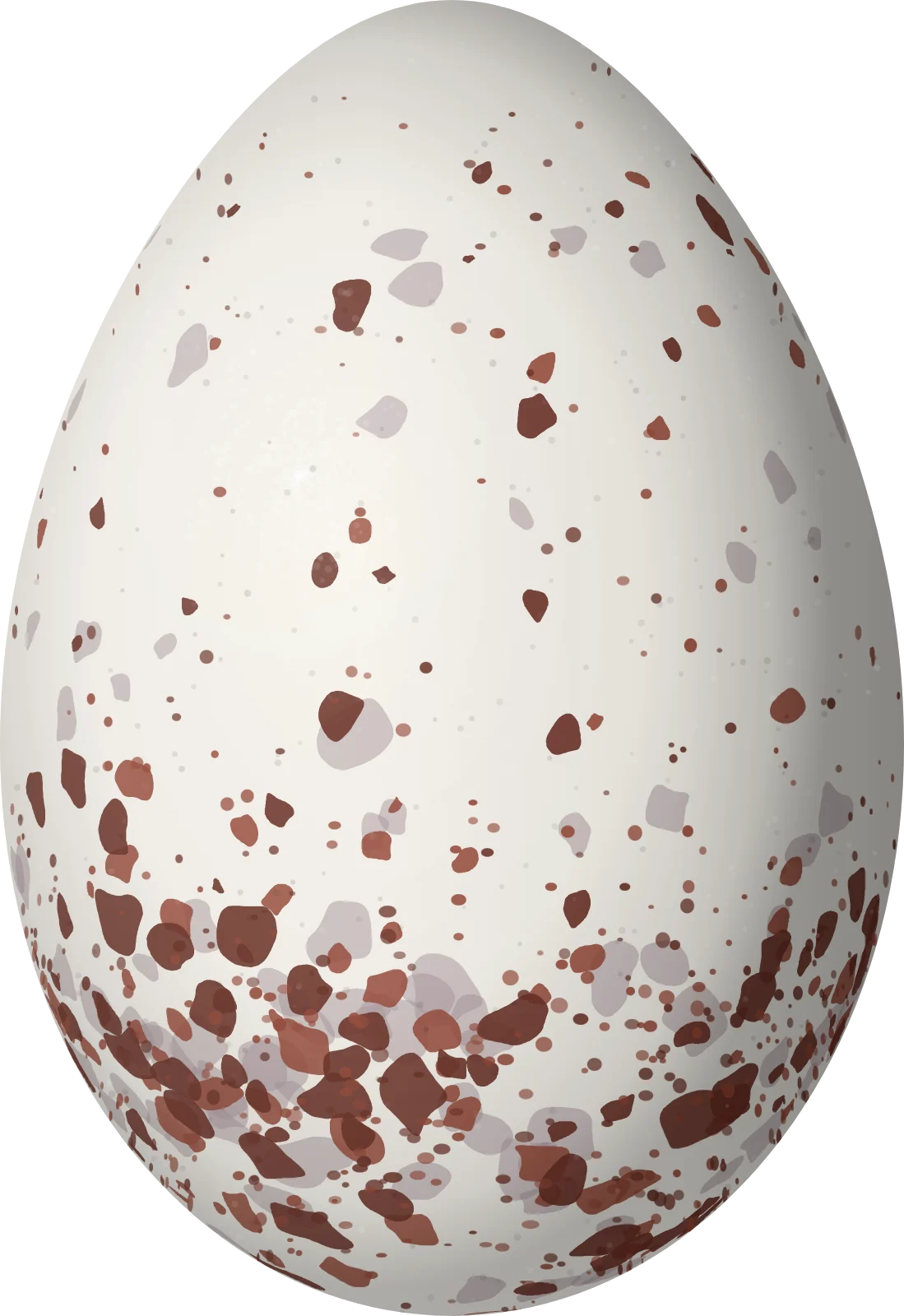 Illustration of a Yellow-green Tanager (Bangsia flavovirens) egg, 26.5 × 18.2 mm