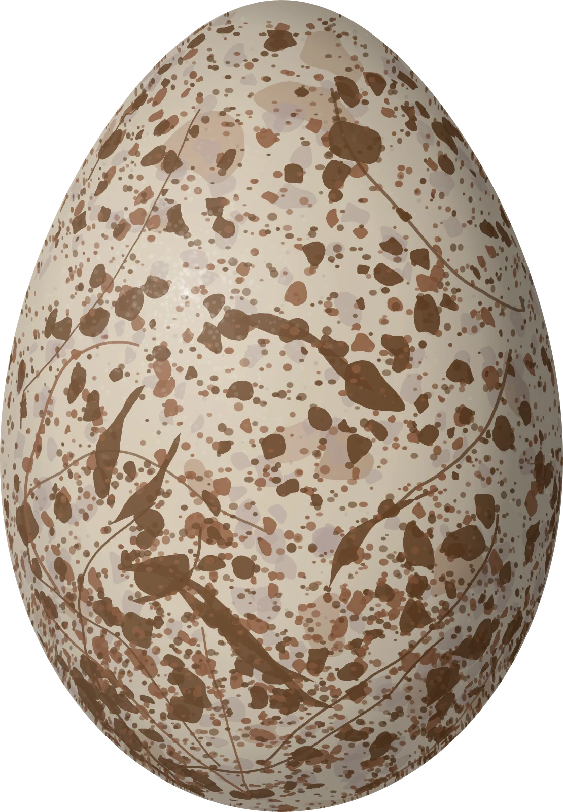 Illustration of a Yellow-headed Blackbird (Xanthocephalus xanthocephalus) egg, 25.83 × 17.92 mm