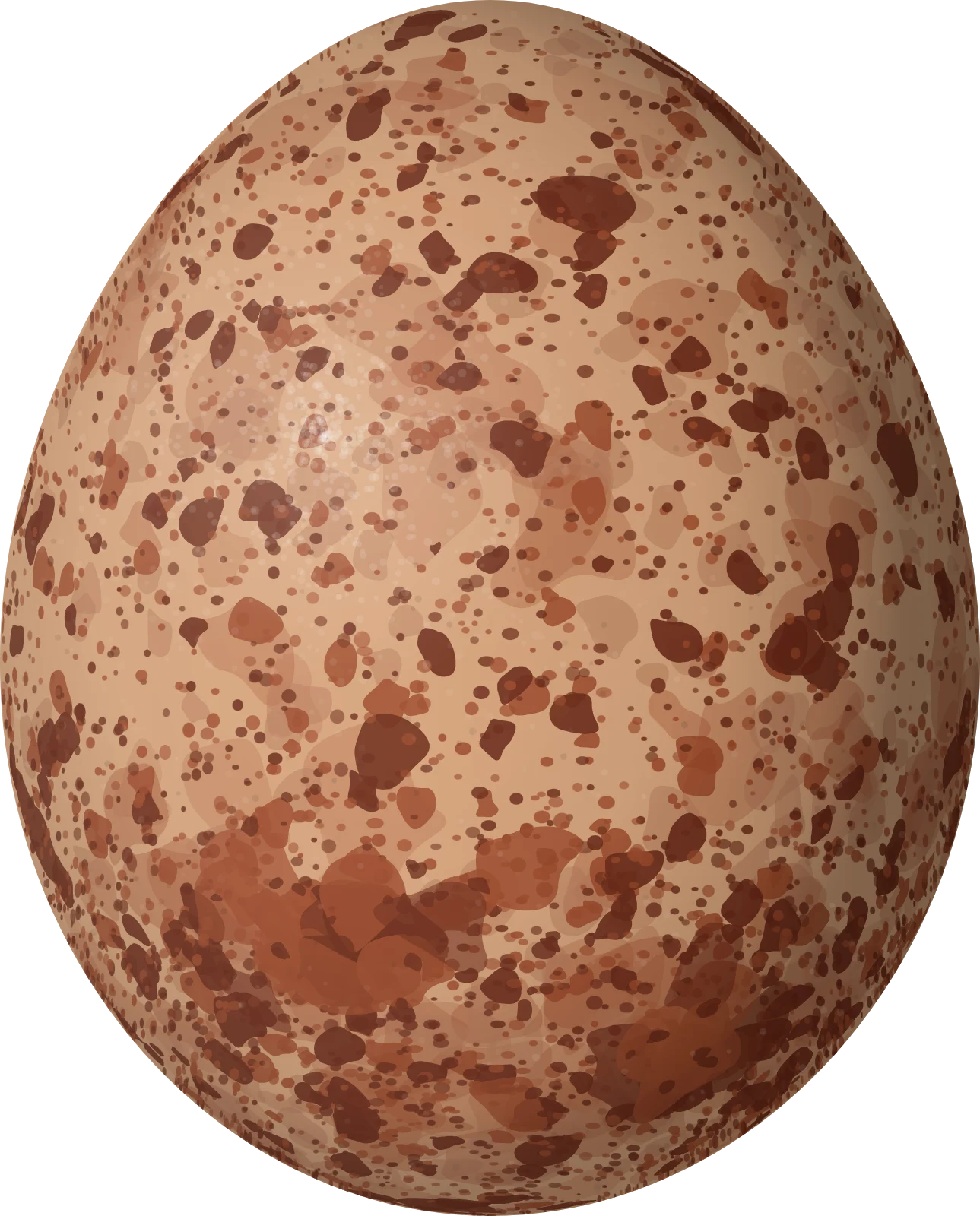Illustration of a Yellow-headed Caracara (Daptrius chimachima) egg, 43.2 × 34.8 mm