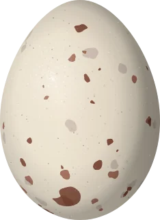 Yellow Rail egg, 28.3 × 20.7 mm