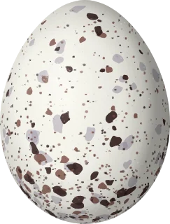 Yellow-rumped Warbler egg, 17.5 × 13.3 mm