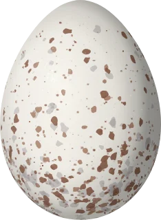 Illustration of a Yellow-shouldered Grassquit (Loxipasser anoxanthus) egg, 18.7 × 13.7 mm