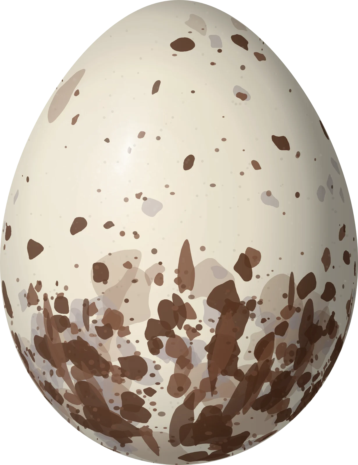 Illustration of a Yellow-throated Flycatcher (Conopias parvus) egg, 20.8 × 16 mm