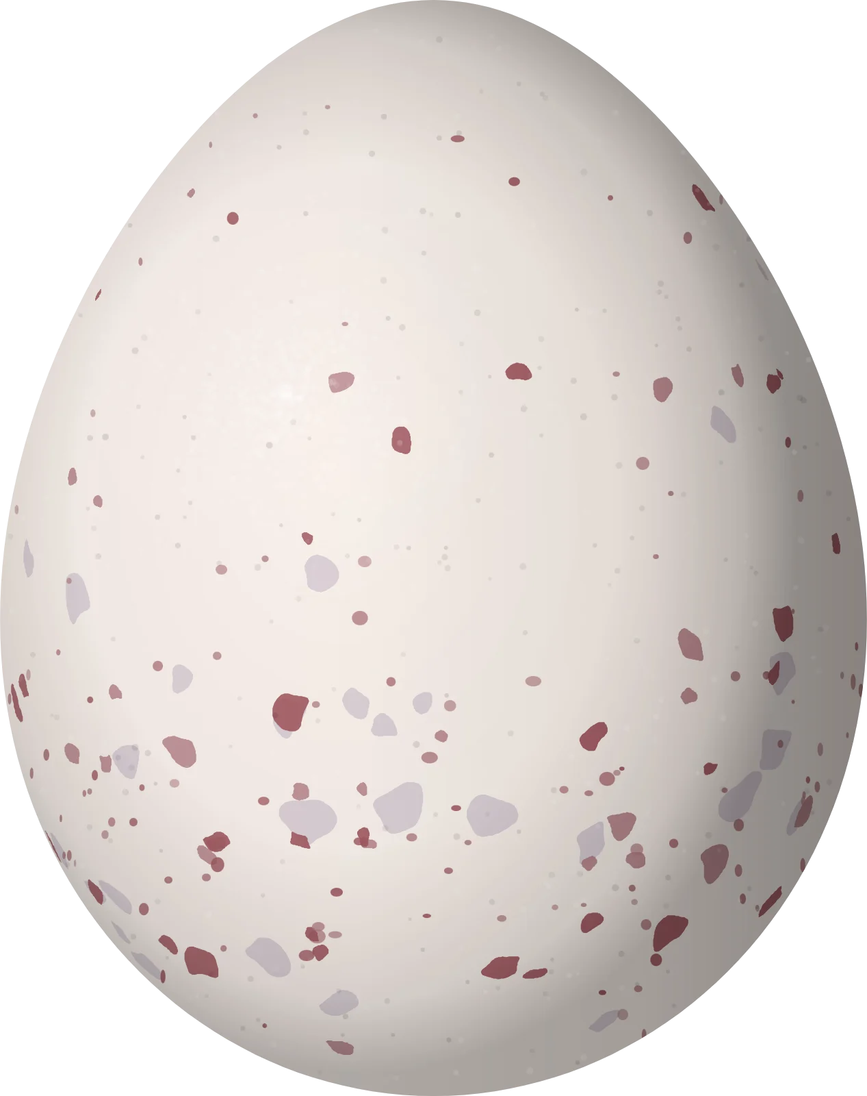 Illustration of a Yellow-throated Spadebill (Platyrinchus flavigularis) egg, 16.8 × 13.3 mm