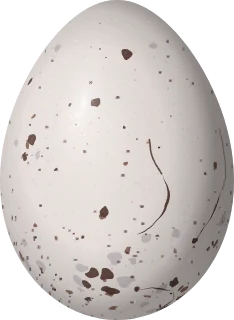 Illustration of a Yellow-throated Tanager (Iridosornis analis) egg, 20.5 × 15 mm