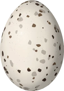 Yellow-throated Vireo egg, 20.5 × 14.5 mm