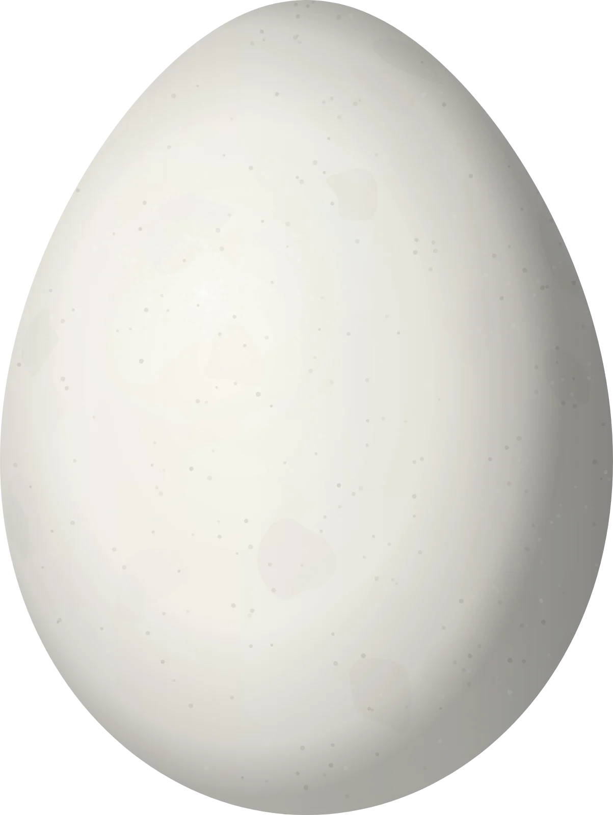 Illustration of a Yellow Tyrannulet (Capsiempis flaveola) egg, 17.23 × 12.95 mm