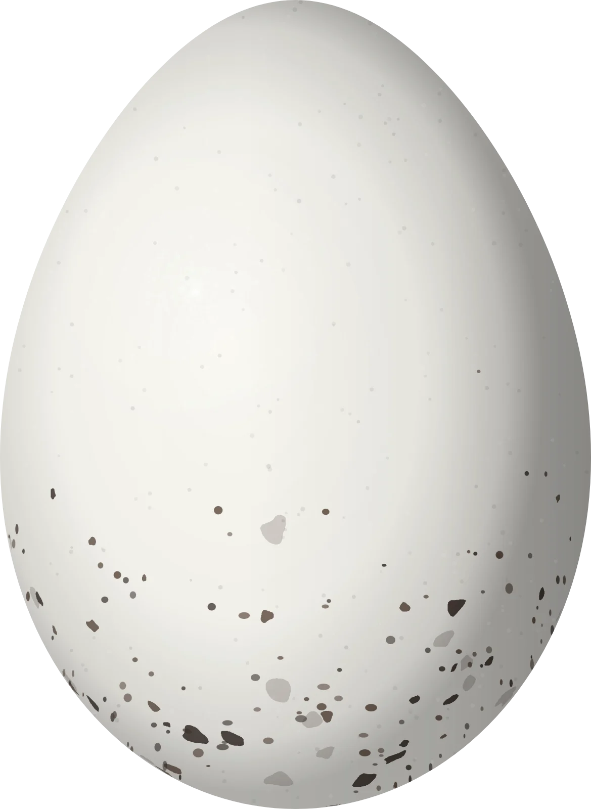 Illustration of a Yellow-winged Vireo (Vireo carmioli) egg, 19.3 × 14.1 mm
