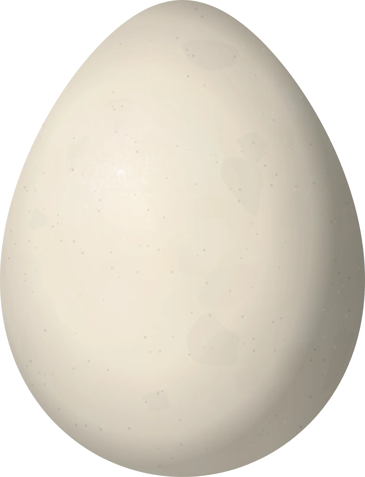 Illustration of a Yucatan Bobwhite (Colinus nigrogularis) egg, 30.3 × 23.2 mm