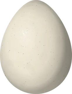 Illustration of a Yungas Guan (Penelope bridgesi) egg, 71 × 54.6 mm