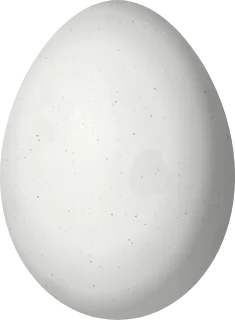 Zebra Finch egg, 15 × 11 mm