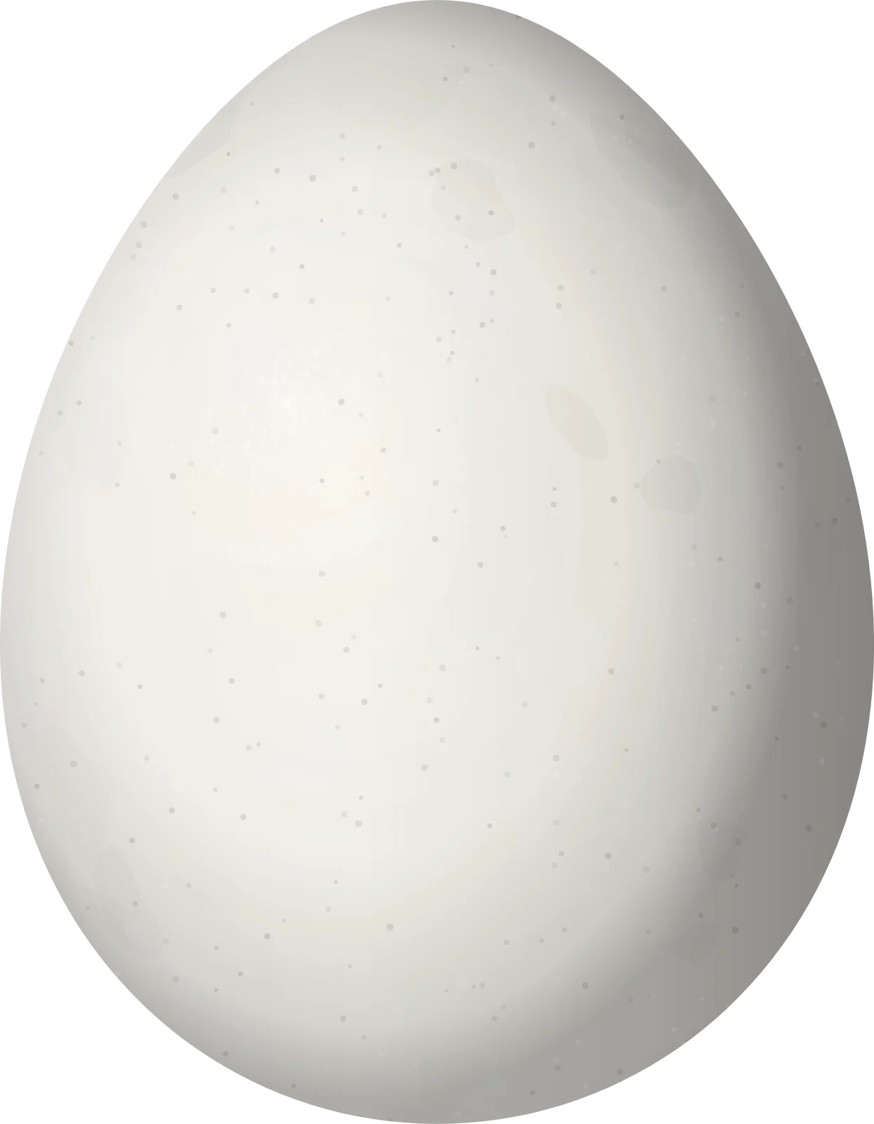 Illustration of a Zimmer's Tapaculo (Scytalopus zimmeri) egg, 22.9 × 17.8 mm